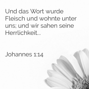 Johannes 1,14.png