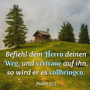 Psalm 37,5.png